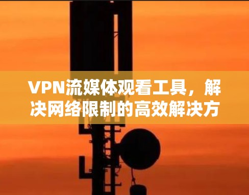 VPN流媒体观看工具,解决网络限制的高效解决方案