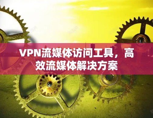 VPN流媒体访问工具,高效流媒体解决方案